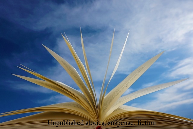actionthrillerstories.xyz
